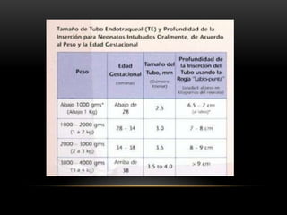 Evaluación Cardio-Respiratoria