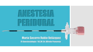ANESTESIA
PERIDURAL
María Socorro Rubio Velázquez
R1 Anestesiología / H.G.M. Dr. Alfredo Pumarejo
 