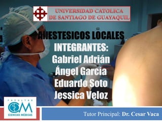 Tutor Principal: Dr. Cesar Vaca
 
