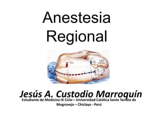 Anestesia
            Regional


Jesús A. Custodio Marroquín
Estudiante de Medicina IX Ciclo – Universidad Católica Santo Toribio de
                    Mogrovejo – Chiclayo - Perú
 