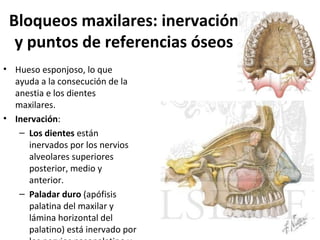 Bloqueos maxilares: inervación
  y puntos de referencias óseos
• Hueso esponjoso, lo que
  ayuda a la consecución de la
  anestia e los dientes
  maxilares.
• Inervación:
   – Los dientes están
     inervados por los nervios
     alveolares superiores
     posterior, medio y
     anterior.
   – Paladar duro (apófisis
     palatina del maxilar y
     lámina horizontal del
     palatino) está inervado por
 