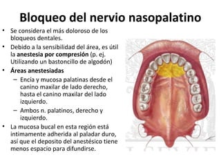 Bloqueo del nervio nasopalatino
• Se considera el más doloroso de los
  bloqueos dentales.
• Debido a la sensibilidad del área, es útil
  la anestesia por compresión (p. ej.
  Utilizando un bastoncillo de algodón)
• Áreas anestesiadas
   – Encía y mucosa palatinas desde el
      canino maxilar de lado derecho,
      hasta el canino maxilar del lado
      izquierdo.
   – Ambos n. palatinos, derecho y
      izquierdo.
• La mucosa bucal en esta región está
  intimamente adherida al paladar duro,
  así que el deposito del anestésico tiene
  menos espacio para difundirse.
 