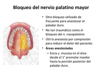 Bloqueo del nervio palatino mayor
            • Otro bloqueo utilizado de
              frecuente para anestesiar el
              paladar duro.
            • No tan traumático como el
              bloqueo del n. nasopalatino
            • Útil la anestesia por compresión
              para reducir el dolor del paciente.
            • Áreas anestesiadas
               – Encia y mucosa en el área
                 desde el 1° premolar maxilar
                 hasta la porción posterior del
                 paladar duro.
 