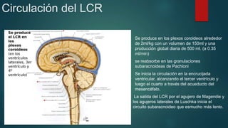 ANESTESIA SUBARACNOIDEA.pdf