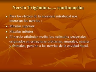 Nervio Trigémino...... continuación
 Para los efectos de la anestesia intrabucal nos
interesan los nervios :
 Maxilar superior
 Maxilar inferior
 El nervio oftálmico recibe los estímulos sensoriales
originados en estructuras orbitarias, sinusales, nasales
y frontales, pero no a los nervios de la cavidad bucal.
 
