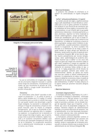 Anestesia tiva | PDF