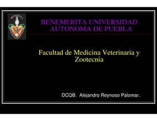 BENEMERITA UNIVERSIDAD
  AUTONOMA DE PUEBLA


Facultad de Medicina Veterinaria y
            Zootecnia



       DCQB. Alejandro Reynoso Palomar.
 