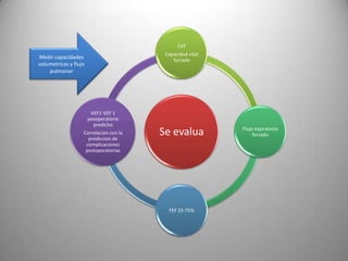 CVF
                                         Capacidad vital
Medir capacidades                           forzada
volumetricas y flujo
    pulmonar




                        VEF1-VEF 1
                       posoperatorio
                         predicho
                   Correlacion con la
                     prediccion de
                                        Se evalua          Flujo espiratorio
                                                                forzado
                    complicaciones
                    postoperatorias




                                          FEF 25-75%
 