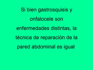Si bien gastrosquisis y onfalocele son enfermedades distintas, la t écnica de reparación de la pared abdominal es igual   