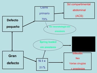 Defecto pequeño Cierre  primario 79% Gran  defecto Silo 21% Infecci ón Ileo Varias cirug ías y anestesias Sd compartimental  abdominal (ACS) En neonatolog ía sin anestesia Spring loaded sin anestesia 