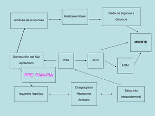 Disminuci ón del flujo esplácnico Isquemia hep ática Coagulopat ía Hipotermia Acidosis Sangrado intraabdominal >PIA ACS FOM MUERTE Daño de  órganos a distancia Radicales libres Acidosis de la mucosa PPE : PAM-PIA 