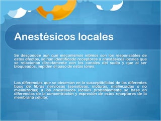 Anestésicos locales
Se desconoce aún qué mecanismos íntimos son los responsables de
estos efectos, se han identificado receptores a anestésicos locales que
se relacionan directamente con los canales del sodio y que al ser
bloqueados, impiden el paso de estos iones.



Las diferencias que se observan en la susceptibilidad de los diferentes
tipos de fibras nerviosas (sensitivas, motoras, mielinizadas o no
mielinizadas) a los anestésicos locales probablemente se base en
diferencias de la concentración y expresión de estos receptores de la
membrana celular.
 