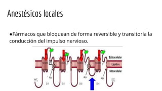 Anestésicos locales
●Fármacos que bloquean de forma reversible y transitoria la
conducción del impulso nervioso.
 