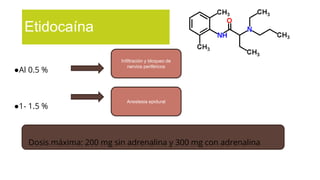 ●Al 0.5 %
●1- 1.5 %
Dosis máxima: 200 mg sin adrenalina y 300 mg con adrenalina
Etidocaína
Infiltración y bloqueo de
nervios periféricos
Anestesia epidural
 