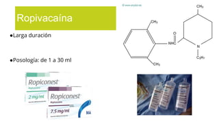 ●Larga duración
●Posología: de 1 a 30 ml
Ropivacaína
 