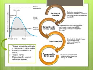 • Solución anestésica en
contacto con fibras nerviosas
necesita tiempo para ejercer
su acción
Periodo de
latencia
• Anestésico difunde hacia interior
del nervio, requiere una CME
para bloquear la conducción del
impulso
Concentración
mínima eficaz
•Gradiente de difusión: hasta
que concentración
intraneural iguala la
extraneural
Concentración
•Cuando la concentración
intraneural disminuye por
debajo de la CME
Recuperación
del bloqueo
• Tipo de anestésico utilizado
y concentración de solución
• Protección mielínica del
nervio
• Tipo de nervio
• Distancia entre lugar de
aplicación y nervio
 