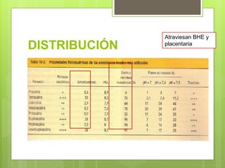 DISTRIBUCIÓN
Atraviesan BHE y
placentaria
 