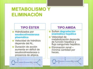 METABOLISMO Y
ELIMINACIÓN
TIPO ÉSTER
 Hidrolizados por
seudocolinesterasa
plasmática
 Velocidad de hidrólisis
depende del AL.
 Duración de acción
aumenta en déficit de
seudocolinesterasa o
presencia de atípica.
TIPO AMIDA
 Sufren degradación
enzimática hepática
 Velocidad de
metabolización depende
de función hepática y
flujo sanguíneo hepático.
 Eliminación renal –
mínima cantidad por
heces.
 
