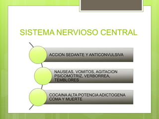 SISTEMA NERVIOSO CENTRAL
ACCION SEDANTE Y ANTICONVULSIVA
NAUSEAS, VOMITOS, AGITACION
PSICOMOTRIZ, VERBORREA,
TEMBLORES
COCAINA ALTA POTENCIA ADICTOGENA
COMA Y MUERTE
 
