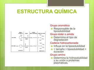 ESTRUCTURA QUÍMICA
Grupo aromático
 Responsable de la
liposolubilidad
Grupo éster o amida
 Determina el tipo de
degradación
Cadena hidrocarbonada
 Influye en la liposolubilidad
 > tamaño > liposolubilidad >
duración
Grupo amino
 Determina la hidrosolubilidad
y su unión a proteínas
plasmáticas.
 