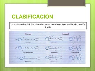 CLASIFICACIÓN
Va a depender del tipo de unión entre la cadena intermedia y la porción
lipófila
 