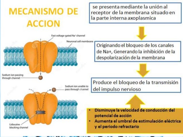Anestesicos locales (3)