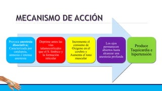 Provoca anestesia
disociativa;
Caracterizada por
catalepsia,
amnesia e intensa
anestesia
Deprime antes las
vías
talamocorticales
que el S. límbico y
la formación
reticular
Incrementa el
consumo de
Oxigeno en el
cerebro y
Aumenta el tono
muscular
Los ojos
permanecen
abiertos hasta
alcanzar una
anestesia profunda
Produce
Taquicardia e
hipertensión
 