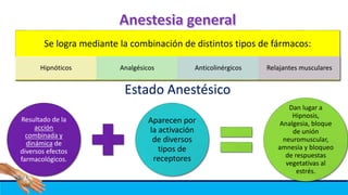 Se logra mediante la combinación de distintos tipos de fármacos:
Hipnóticos Analgésicos Anticolinérgicos Relajantes musculares
Estado Anestésico
Resultado de la
acción
combinada y
dinámica de
diversos efectos
farmacológicos.
Aparecen por
la activación
de diversos
tipos de
receptores
Dan lugar a
Hipnosis,
Analgesia, bloque
de unión
neuromuscular,
amnesia y bloqueo
de respuestas
vegetativas al
estrés.
 