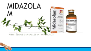 MIDAZOLA
M
ANESTÉSICOS GENERALES INTRAVENOSOS
 