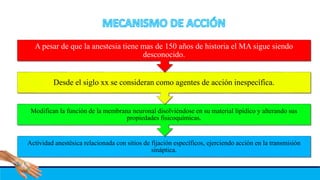 Actividad anestésica relacionada con sitios de fijación específicos, ejerciendo acción en la transmisión
sináptica.
Modifican la función de la membrana neuronal disolviéndose en su material lipídico y alterando sus
propiedades fisicoquímicas.
Desde el siglo xx se consideran como agentes de acción inespecífica.
A pesar de que la anestesia tiene mas de 150 años de historia el MA sigue siendo
desconocido.
 