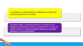 La amnesia y la inconciencia se obtienen por efectos de
anestesia general en el cerebro.
La inmovilidad, la antinocicepción y el bloque de las
respuesta adrenérgica al dolor se producen por acción del
agente anestésico sobre la medula espinal, en el cordón
posterior y las motoneuronas.
 
