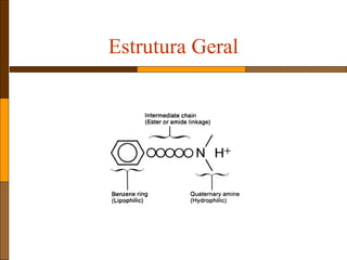 Estrutura Geral
 