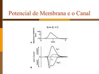 Potencial de Membrana e o Canal
 