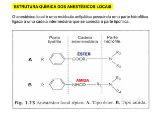 ESTRUTURA QUÍMICA DOS ANESTÉSICOS LOCAIS
O anestésico local é uma molécula anfipática possuindo uma parte hidrofílica
ligada a uma cadeia intermediária que se conecta à parte lipofílica.
AMIDA
ÉSTER
 