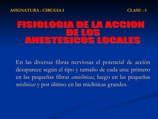 En las diversas fibras nerviosas el potencial de acción desaparece según el tipo y tamaño de cada una: primero en las pequeñas fibras  amielínicas , luego en las pequeñas  mielínicas  y por último en las mielínicas grandes.  ASIGNATURA : CIRUGIA I  CLASE : 5 FISIOLOGIA DE LA ACCION DE LOS ANESTESICOS LOCALES 