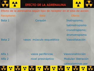 Efecto de la adrenalina según tipo de receptor en el sitio de acción Receptores  Sitio  Efecto Beta 1  Corazón  Inotropismo;  batmotropismo cronotropismo;  dromotropismo Beta 2  vasos  músculo esquelético  Vasodilatación Alfa 1  vasos periféricos  Vasoconstricción Alfa 2  nivel presináptico  Modulan liberación  catecolaminas por   retroalimentación  EFECTO DE LA ADRENALINA 