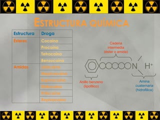 E STRUCTURA QUÍMICA N H + Anillo benzeno (lipofilico) Amina cuaternaria (hidrofilica) Cadena intermedia (éster o amida) Estructura Droga Ésteres Cocaína Procaína Tetracaína Benzocaína Amidas Lidocaína Mepivacaína Bupivacaína Etidocaína Prilocaína Ropivacaína 