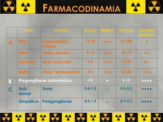 F ARMACODINAMIA Tipo Función Ø   (  m) Mielina VC  (m/s) Sensibil. bloqueo A Alfa Propiceptiva, motora 12-20 +++ 70-120 + Beta Tacto, presión 5-12 +++ 30-70 ++ Gamma Huso muscular 3-6 +++ 15-30 ++ Delta Dolor, temperatura 2-5 +++ 12-30 +++ B Preganglionar autonómica <3 + 3-15 ++++ C Raíz dorsal Dolor 0.4-1.2 - 0.5-2.3 ++++ Simpática Postganglionar 0.3-1.3 - 0.7-2.3 ++++ 