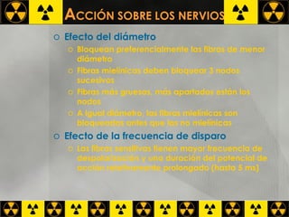 A CCIÓN SOBRE LOS NERVIOS Efecto del diámetro Bloquean preferencialmente las fibras de menor diámetro Fibras mielínicas deben bloquear 3 nodos sucesivos Fibras más gruesas, más apartados están los nodos A igual diámetro, las fibras mielínicas son bloqueadas antes que las no mielínicas Efecto de la frecuencia de disparo Las fibras sensitivas tienen mayor frecuencia de despolarización y una duración del potencial de acción relativamente prolongado (hasta 5 ms) 