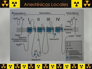 Anestésicos Locales 