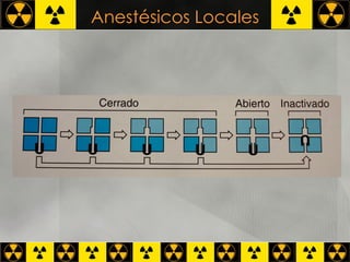 Anestésicos Locales 