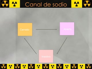 Canal de sodio Cerrado Abierto Inactivo 