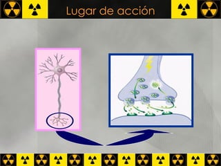 Lugar de acción NBM 