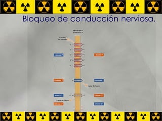 Bloqueo de conducción nerviosa. NBM 
