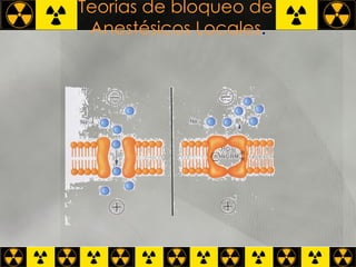 Teorías de bloqueo de  Anestésicos Locales . NBM 