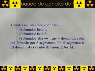 Bloqueo de canales de Na NBM Canales iónicos (receptor de Na): -Subunidad beta 1. -Subunidad beta 2. -Subunidad alfa    tiene 4 dominios, cada uno formado por 6 segmentos. En el segmento 6 del dominio 4 es el sitio de unión de los AL. + 