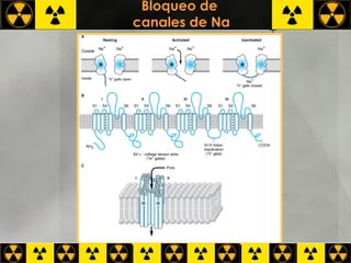 Bloqueo de  canales de Na NBM + 