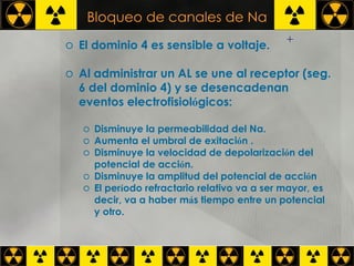 Bloqueo de canales de Na El dominio 4 es sensible a voltaje.  Al administrar un AL se une al receptor (seg. 6 del dominio 4) y se desencadenan eventos electrofisiol ó gicos: Disminuye la permeabilidad del Na. Aumenta el umbral de exitaci ó n . Disminuye la velocidad de depolarizaci ó n del potencial de acci ó n. Disminuye la amplitud del potencial de acci ó n El per í odo refractario relativo va a ser mayor, es decir, va a haber m á s tiempo entre un potencial y otro. + 