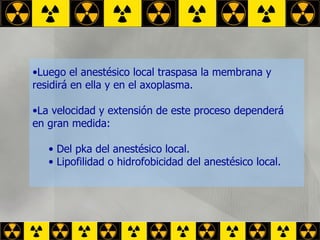 Luego el anestésico local traspasa la membrana y  residirá en ella y en el axoplasma. La velocidad y extensión de este proceso dependerá en gran medida: Del pka del anestésico local. Lipofilidad o hidrofobicidad del anestésico local. 