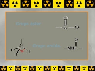 Grupo amida. Grupo éster 